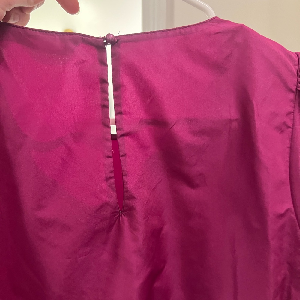Zara Taffeta Voluminous Raspberry Dress - Picture 5 of 6